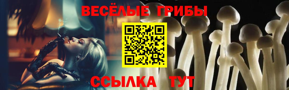 Галлюциногенные грибы прущие грибы  Вход с VPN  Кстово 